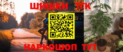 гашик Пугачёв