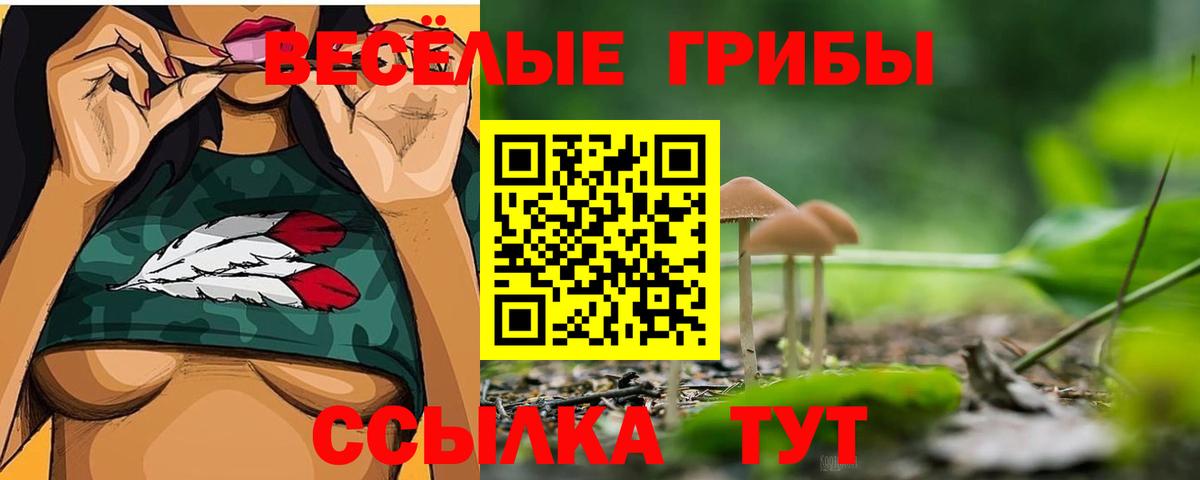 купить   Вход с VPN  Псилоцибиновые грибы Magic Shrooms  Семилуки  Галлюциногенные грибы MAGIC MUSHROOMS 